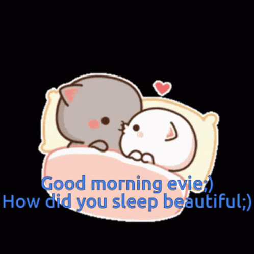 A Cartoon Of Two Cats Laying In A Bed With The Words Good Morning Evie GIF