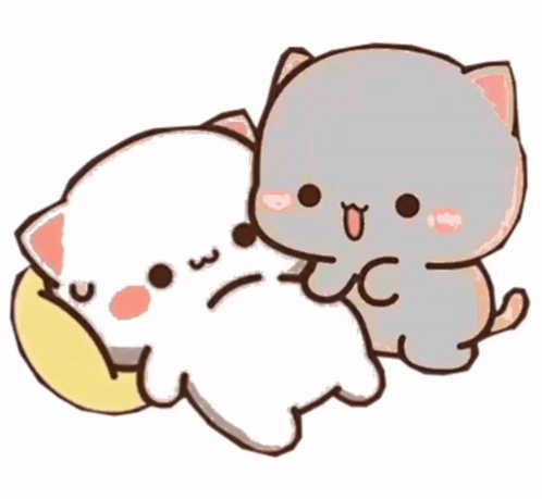 Two Cats Laying Next To Each Other GIF