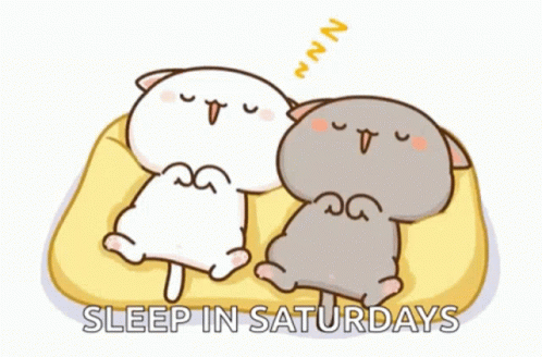 A Cartoon Of Two Cats Sleeping On A Bed With The Words Sleep In Saturdays Above Them GIF