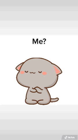 Cartoon Two Cats With Obsessed With You Text GIF