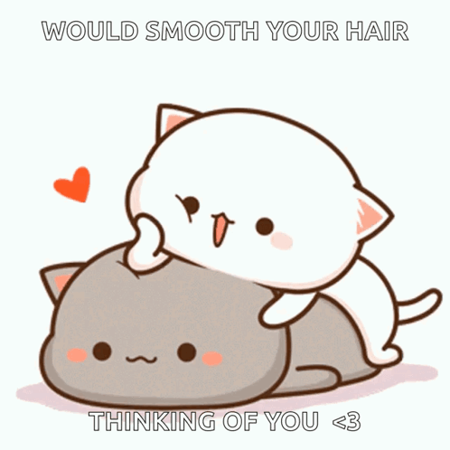 A Cartoon Of Two Cats With The Words " Would Smooth Your Hair Thinking Of You < 3 " On The Bottom GIF