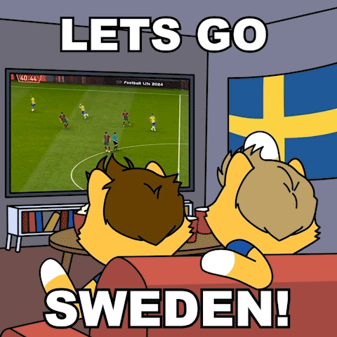 A Cartoon Of Two Foxes Watching A Soccer Game With The Words Lets Go Sweden Below Them GIF