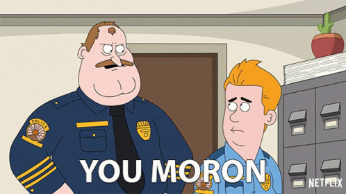 A Cartoon Of Two Police Officers Standing Next To Each Other With The Words " You Moron " On The Bottom GIF