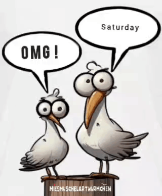 A Cartoon Of Two Seagulls With Speech Bubbles That Say Omg And Saturday GIF