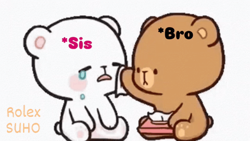 A Cartoon Of Two Teddy Bears With Sis And Bro Written On Their Heads GIF