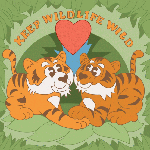 A Cartoon Of Two Tigers With A Heart And The Words Keep Wildlife Wild On The Bottom GIF