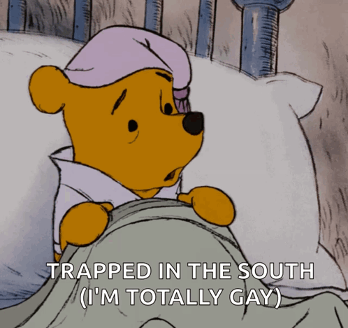 A Cartoon Of Winnie The Pooh Laying In Bed With The Caption Trapped In The South I 'M Totally Gay GIF