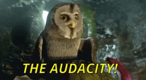 A Cartoon Owl Is Sitting On A Rock With The Words `` The Audacity '' Written On The Bottom . GIF
