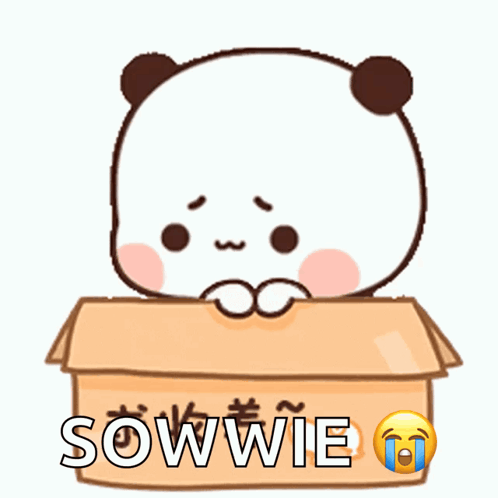 a cartoon panda bear is sitting in a cardboard box with the word sowie written on it