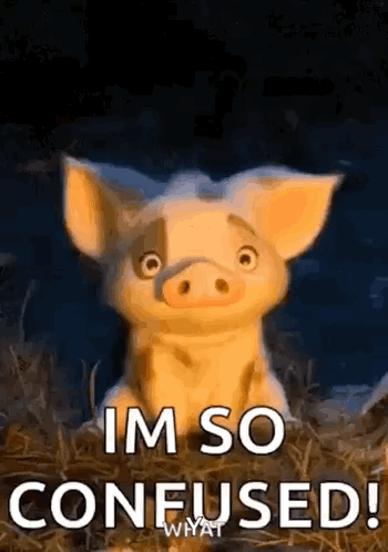 A Cartoon Pig Is Sitting In A Pile Of Hay And Saying `` Im So Confused ! '' GIF