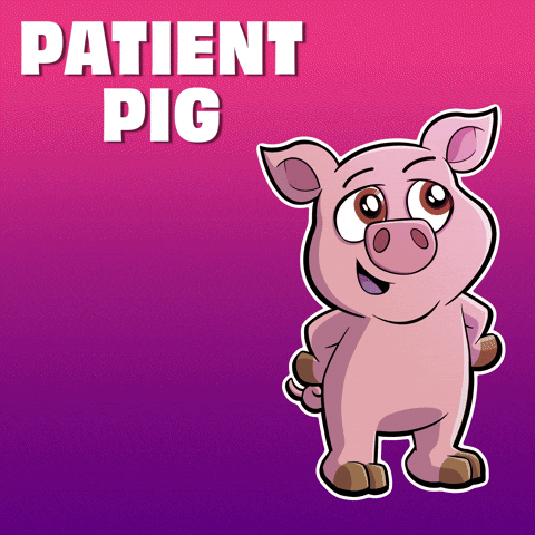 A Cartoon Pig Is Standing In Front Of A Purple Background That Says " Patient Pig " GIF