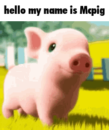 A Cartoon Pig Is Standing In The Grass With The Words `` Hello My Name Is Mcpig '' . GIF
