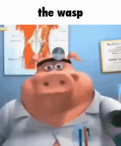 A Cartoon Pig Is Wearing A Doctor 'S Hat And Holding A Stethoscope In His Mouth . GIF