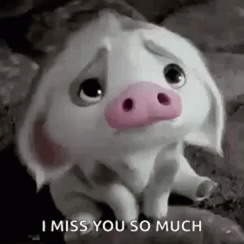 A Cartoon Pig With A Pink Nose Is Sitting On A Rock And Says `` I Miss You So Much '' . GIF