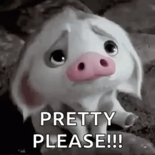 A Cartoon Pig With A Pink Nose Is Sitting On The Ground And Saying `` Pretty Please '' . GIF