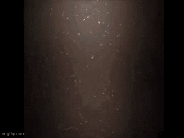 A Cartoon Pig With Horns And A Hat Is Being Destroyed . GIF