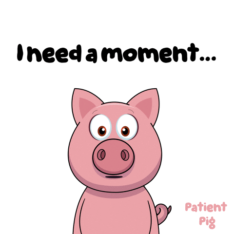 A Cartoon Pig With The Words " I Need A Moment " Behind It GIF