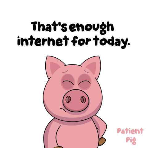 A Cartoon Pig With The Words That 'S Enough Internet For Today Below It GIF