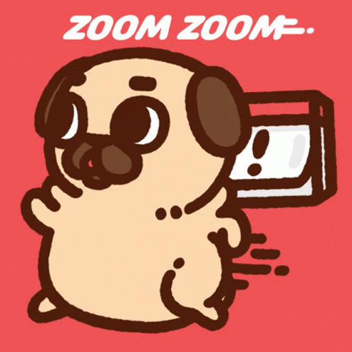 A Cartoon Pug With The Words Zoom Zoom Written Below It GIF