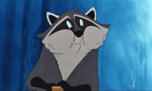 A Cartoon Raccoon Is Sitting In Front Of A Blue Curtain And Eating A Piece Of Bread . GIF