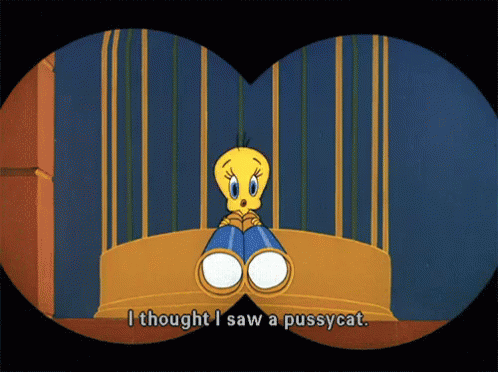A Cartoon Says I Thought I Saw A Pussy Cat GIF