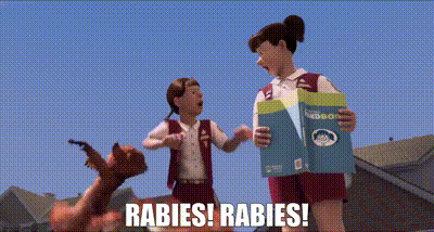 A Cartoon Scene With The Words Rabies Rabies GIF