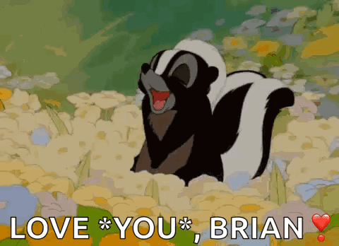 A Cartoon Skunk Is Standing In A Field Of Flowers And Says Love You Brian GIF