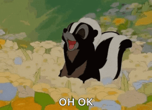 A Cartoon Skunk Is Standing In A Field Of Flowers With The Words Oh Ok Below It . GIF