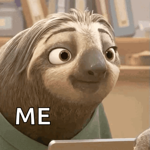 A Cartoon Sloth Is Sitting In Front Of A Laptop Computer And Says Me . GIF