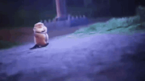 a cartoon squirrel is walking down a road at night