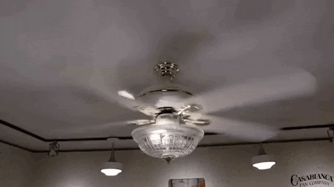 a casablanca fan company ceiling fan is spinning in a room