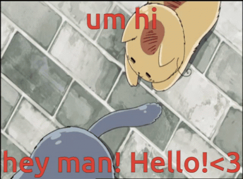 A Cat And A Dog Are Looking At Each Other With The Words Hey Man Hello < 3 GIF
