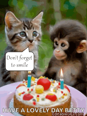 A Cat And A Monkey Sitting Next To A Birthday Cake With Candles GIF