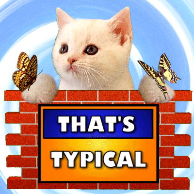A Cat Behind A Sign That Says " That 'S Typical " GIF