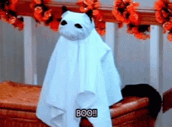 A Cat Dressed As A Ghost With The Word Boo Written On It GIF