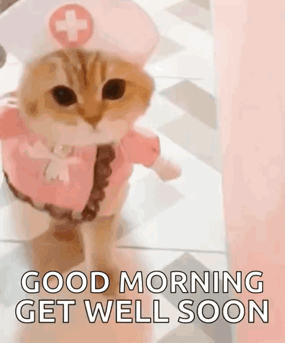 A Cat Dressed As A Nurse Is Walking On The Floor And Says `` Good Morning Get Well Soon '' . GIF