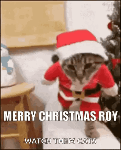 A Cat Dressed As Santa Claus Is Standing In Front Of A Christmas Tree And Says Merry Christmas Roy . GIF