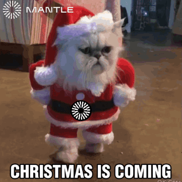 A Cat Dressed In A Santa Claus Outfit With The Words Christmas Is Coming Below It GIF