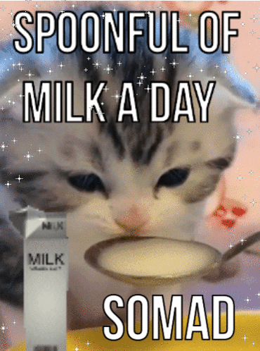 A Cat Drinking Milk From A Spoon Next To A Box Of Milk GIF