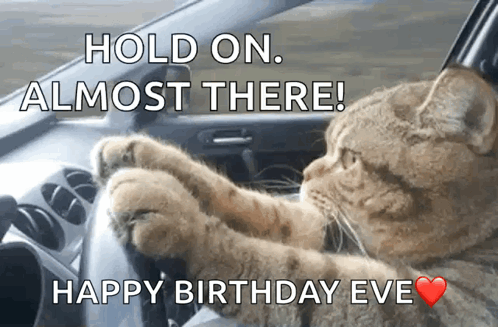 A Cat Driving A Car With The Words Hold On Almost There Happy Birthday Eve GIF