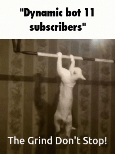 A Cat Hangs Upside Down On A Bar With The Caption Dynamic Bot 11 Subscribers The Grind Don 'T Stop GIF