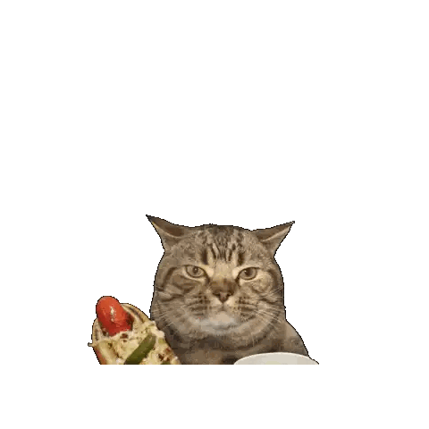 a cat holding a hot dog and a cup of coffee with the words up for a bite