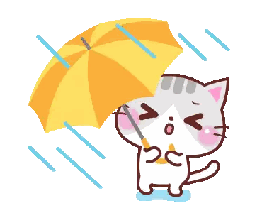 a cat holding an umbrella in the rain
