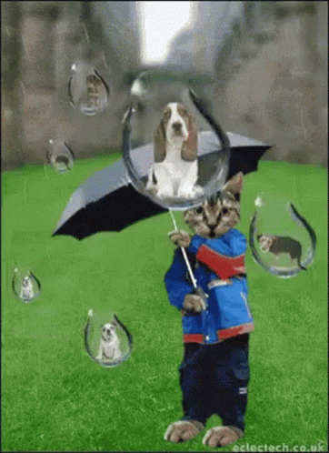 A Cat Holding An Umbrella With A Dog In A Bubble Behind It GIF
