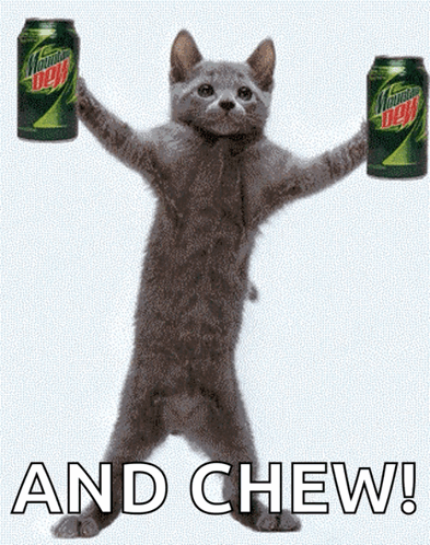 Cat Holding Two Mountain Dew Cans GIF