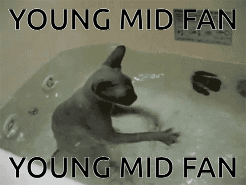 A Cat In A Bathtub With The Words Young Mid Fan Young Mid Fan GIF
