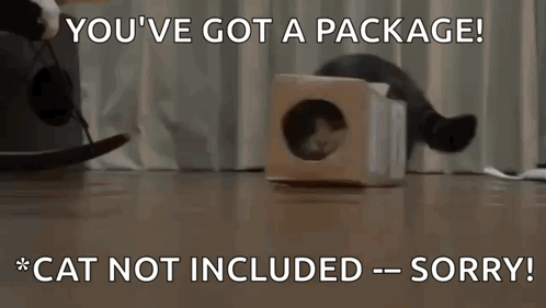 a cat in a cardboard box with a caption that says " you 've got a package cat not included sorry "
