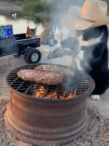 A Cat In A Cowboy Hat Is Standing Next To A Grill GIF