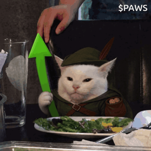 A Cat In A Robin Hood Costume Holds A Green Arrow GIF