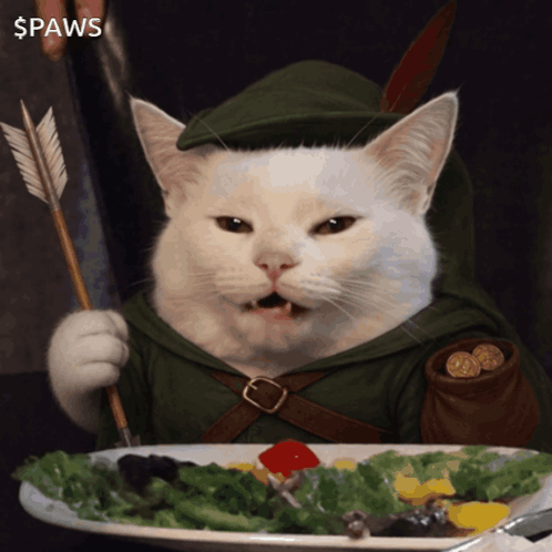 A Cat In A Robin Hood Costume Is Holding An Arrow And Eating A Salad GIF